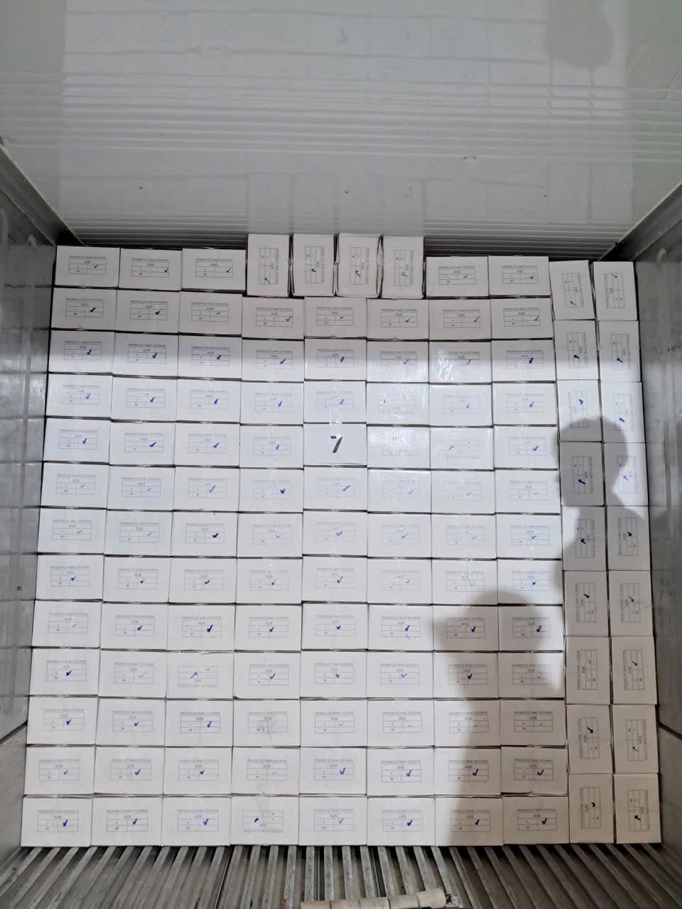Seafood export cartons arranged in cold storage